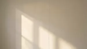 wykończenie płyt gipsowych